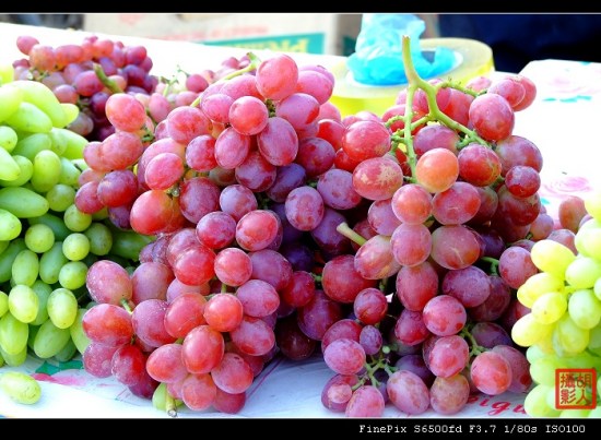 乌海系内蒙古最大葡萄生产基地 有葡萄之乡美