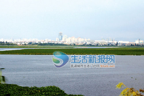 云南省今年将投50亿元治理滇池