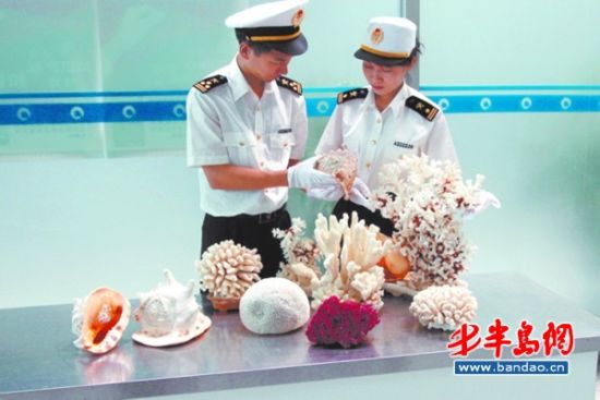 今年以来，流亭机场海关截获的濒危动植物制品。（资料图片）