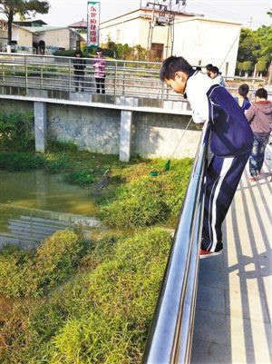 学生踏上栏杆戏弄鳄鱼