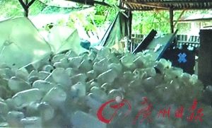 木材厂藏大量废弃输液瓶村民怕地下水污染