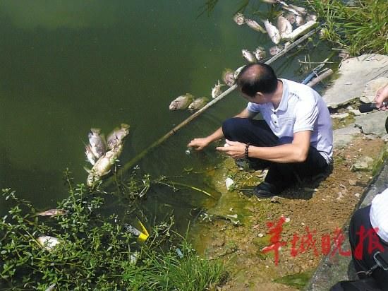 环保工作人员收集水样