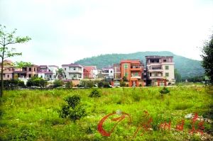 新围高排仔村背后隔一座山就是虎门生活垃圾处理厂目前选址。 记者 刘满元 摄