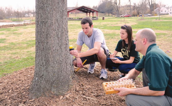 在美国密苏里州罗拉市舒曼公园测验树木。左起：密苏里科技大学研究生麦特·利姆尔、罗拉高中的学生阿曼达·霍姆斯、密苏里科技大学教授宙·波肯。