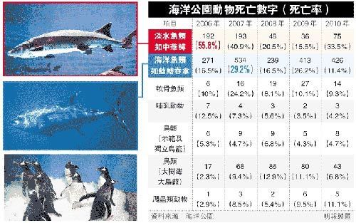 海洋公园动物死亡率