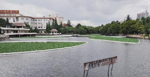 昆明正在实施“滇池水葫芦规模化圈养及资源化利用工程”，水葫芦种植区域都已围上了围网。