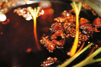 餐厨废物：何处是归宿？