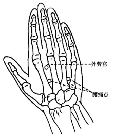 ָѹѨλ��������������