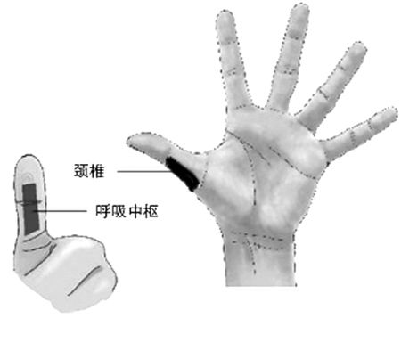 按摩手部反射区养护颈椎(图)