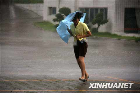 台风巨爵登陆广东 阳江渔船转移及时_天气预