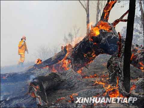 11月22日,在澳大利亚悉尼西北的里尔斯通镇附近,一名消防员进入山火