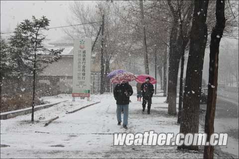 黑吉两省遭遇大雪 高速铁路航空受影响严重_天