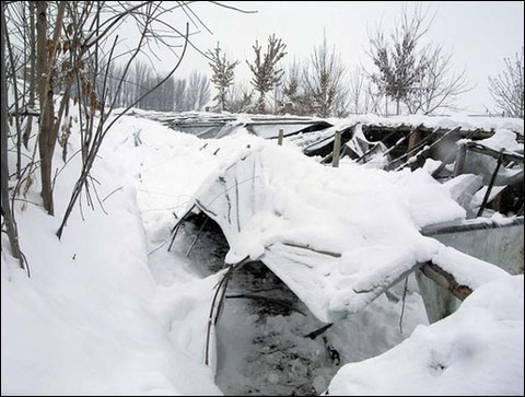 新疆北部降雪持续 多处雪崩致7人亡