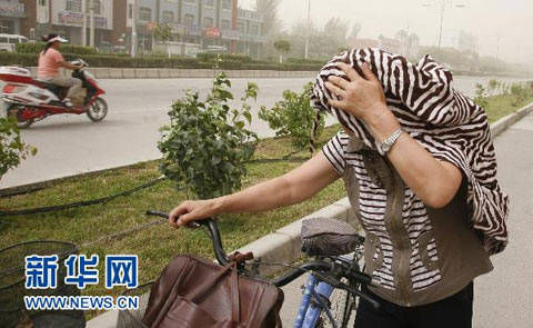 新疆、甘肃8月现沙尘 专家表示并非异常_天气