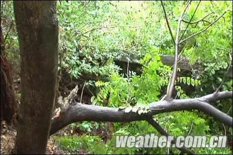 台风莫兰蒂带来强降雨 福建六市旅游暂停三天