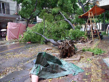 广东佛山发生雷雨大风冰雹灾害已致12死_天气预报