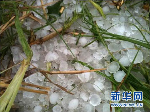 雷雨大风袭广东 遇难者增至19人_天气预报