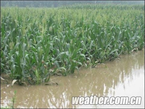 河北入汛最强降雨结束 今夜新轮雨水再来_天气预报