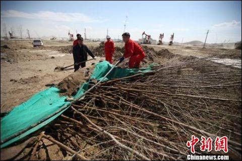 新疆北部大风持续10多小时 油田作业区停工(图