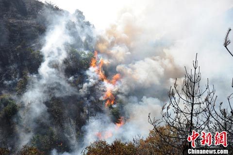 山西晋中发生森林大火 扑火人员已超2000人(图