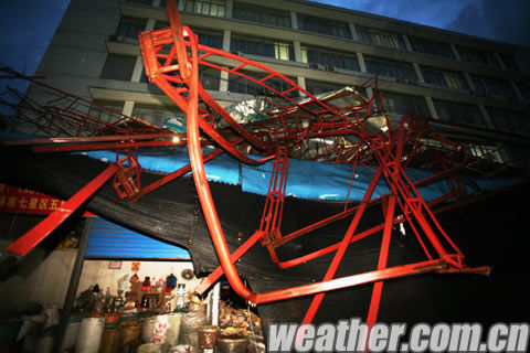 桂林大风致几十棵大树连根拔起