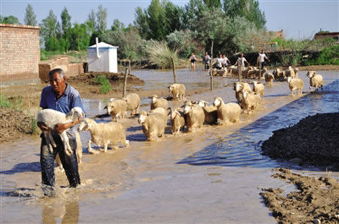 内蒙古遭遇洪涝灾害 62万人受灾|天气|天气预报