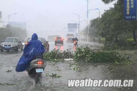 启德袭广西北海 市区一片狼藉_新浪天气预报