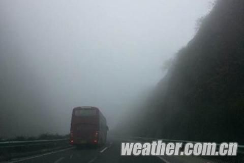 贵州大雾局地能见度不足100米|大雾_新浪天气