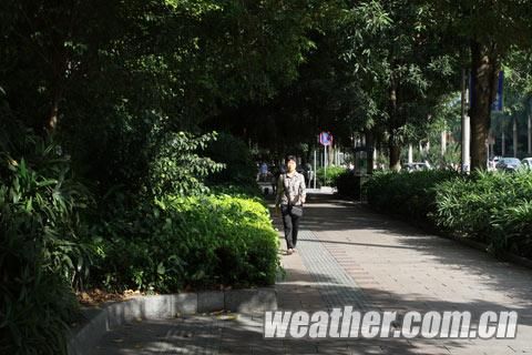 广西南宁昨现少见炎热天气 今起全区气温全面