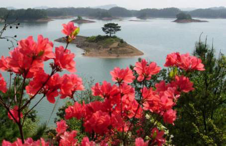 春天去千岛湖骑车看花_新浪天气预报