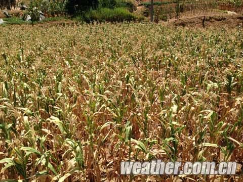 湖南高温少雨叠加 旱情迅速发展_新浪天气预报