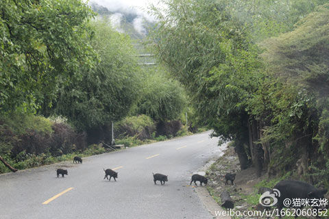 偏高 雅江一线告别雨季|西藏|雨季|拉萨_新浪天气预报