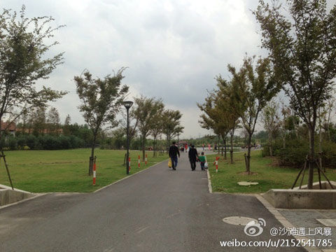 申城暂别蓝天白云 今天阵雨来扰_新浪天气预报