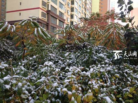 乌鲁木齐初雪潜入夜 大风将继续发威|乌鲁木