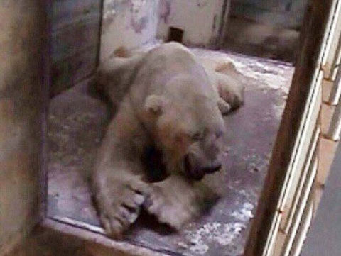 ֻڰ͢Mendoza԰У¶ȸߴ40϶