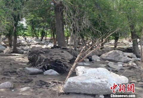 新疆伊犁州山洪泥石流灾害致13乡镇损失1.43