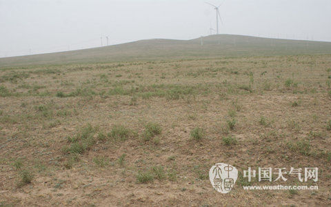 内蒙古干旱持续百万人受灾 农作物减产成定局