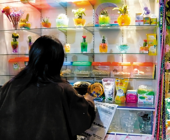 仓鼠用品真不少.