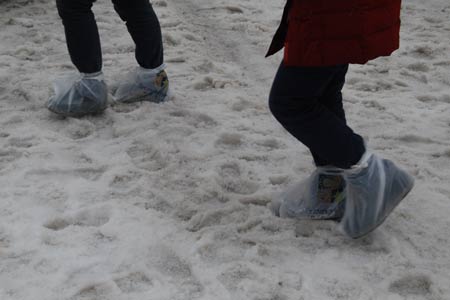 ���ѹ���������ɳ���Ѻ����Ͻ��Ʊ���ѩ(ͼ)