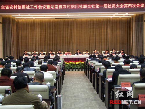 湖南农村信用社今年将优先支持农村灾后重建