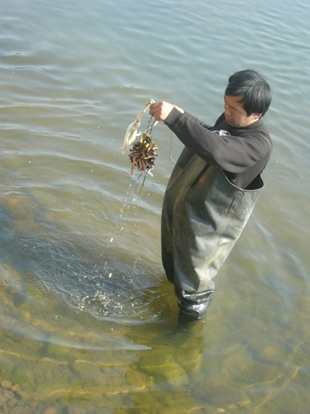 松花江捞出111发子弹和一把长枪