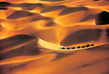 上海第九届国际摄影艺术展览明天开幕