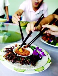 我家150万蝗军等着成都人来消灭