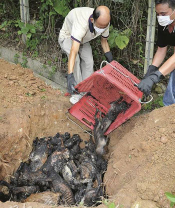 友人协助将烧死的猫狗埋葬在彭某家园附近空地.(图片来源:明报)