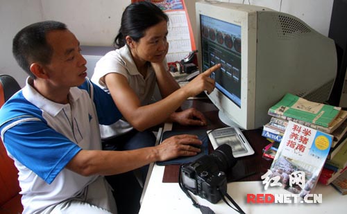 邵阳县农民自办网站推广养野猪(组图)