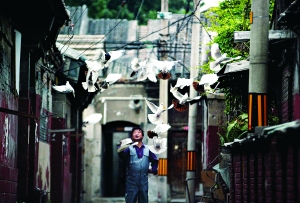 胡同"鸽王"