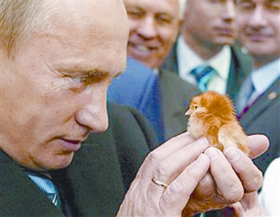 普京与小动物亲密接触_新闻中心_新浪网