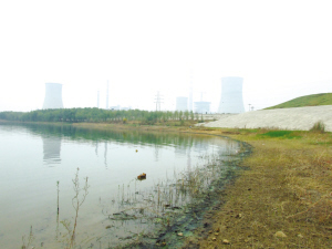 大房郢水库遭油灰"侵袭"