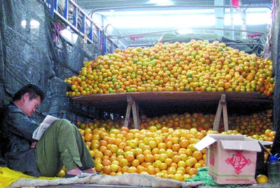 北京山东等地出现卖橘难