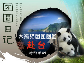 法新社:熊猫赠台湾成为两岸关系不断升温的 催